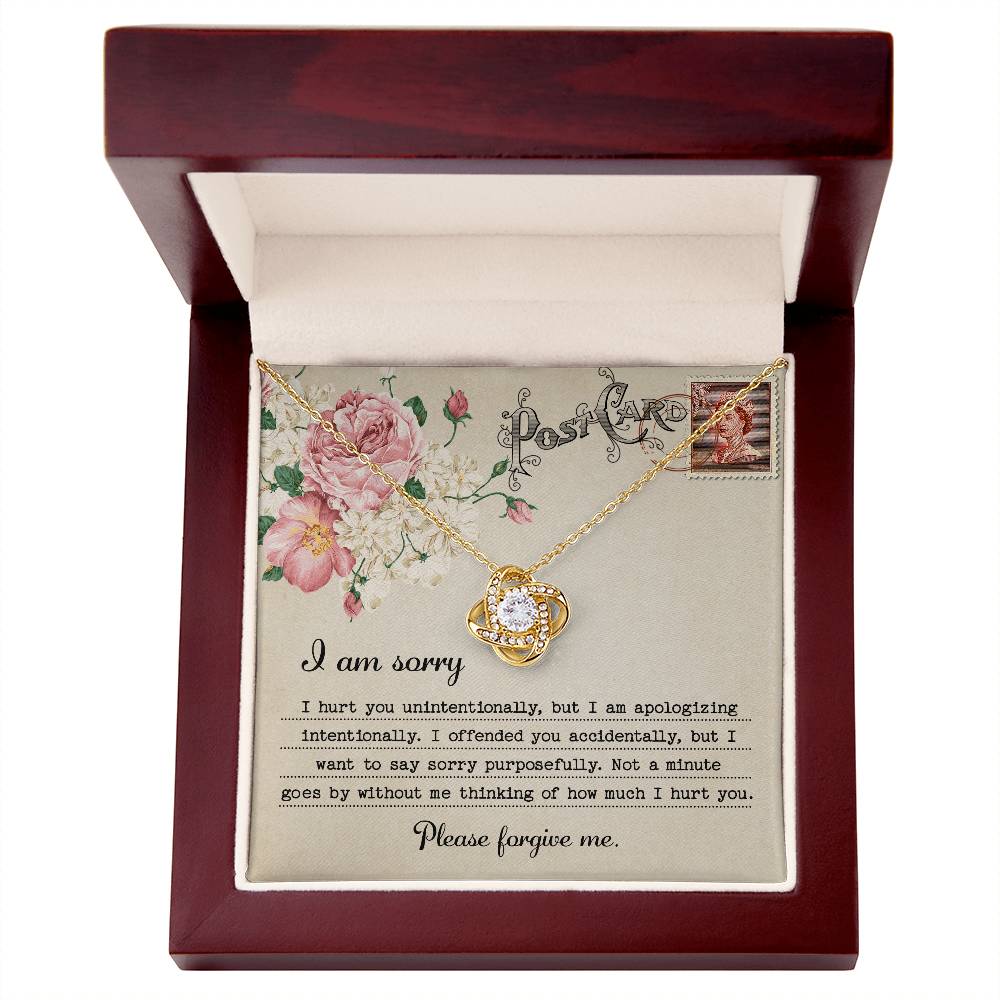 Heartfelt Apology: Love Knot Necklace with Sorry Message Card