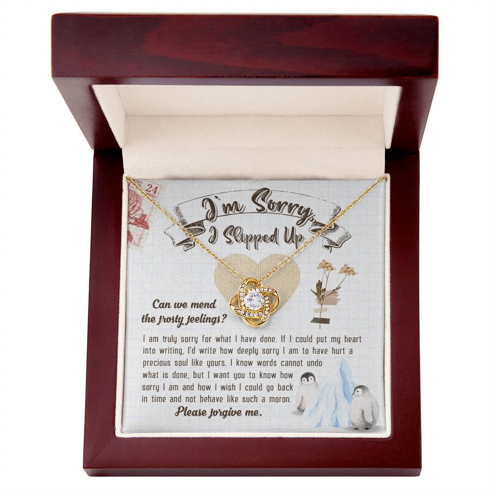 Heartfelt Apology Necklace – A Meaningful Gesture of Remorse and Reconciliation